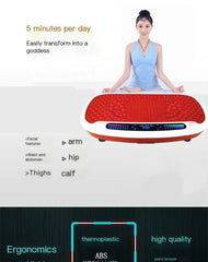 2006 Vibration Fat-Burning Machine